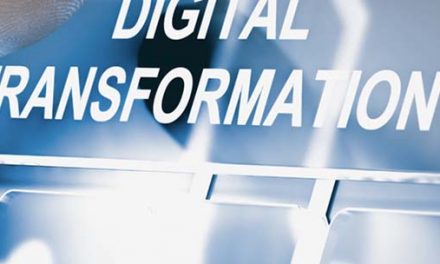 Guiding Brands Through Digital Transformation