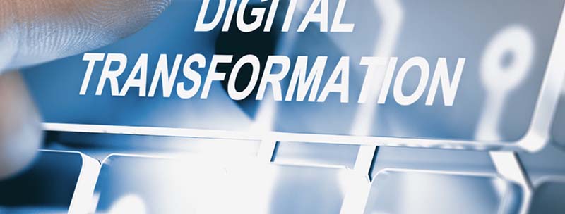 Guiding Brands Through Digital Transformation