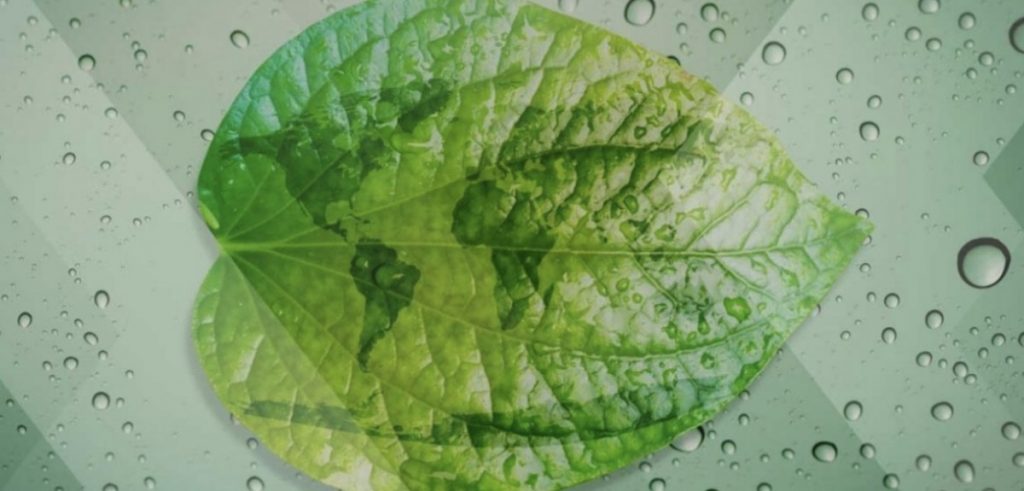 Jabil Blog leaf